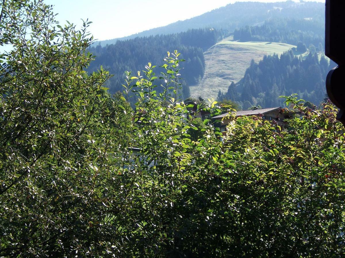 Landhaus Michael Wagrain Εξωτερικό φωτογραφία
